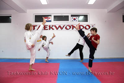 taekwondo kwon training